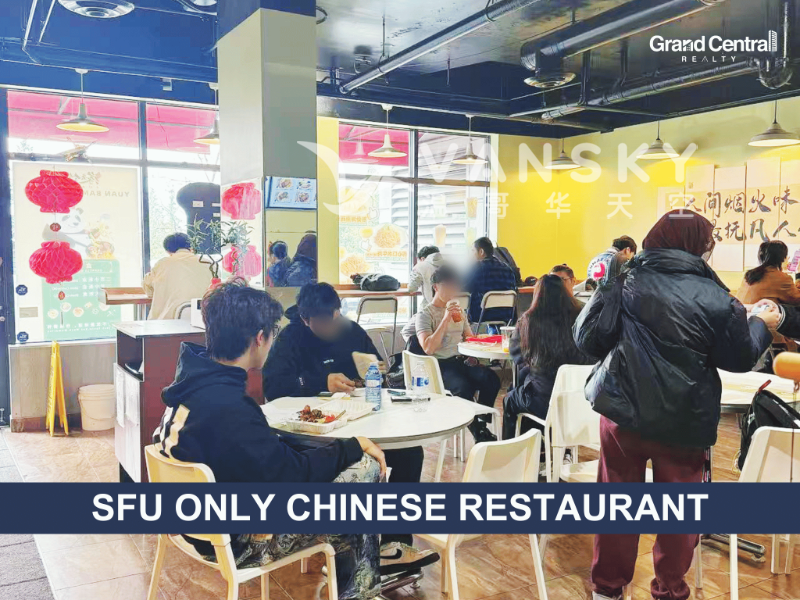 260324134446_Copy of Cover 3.png